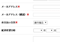 メールアドレス・お支払い方法・配送希望日時を設定して下さい。